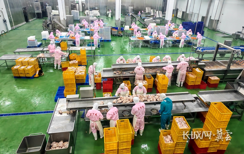 河北食品招商